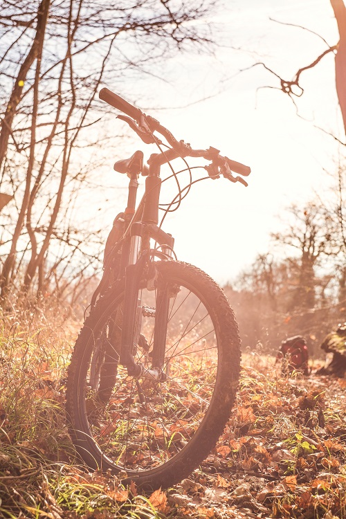 Aardewerk Begroeten pad Het onderhoud aan je mountainbike | MTB-Blog